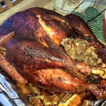 Happy Thanksgiving!